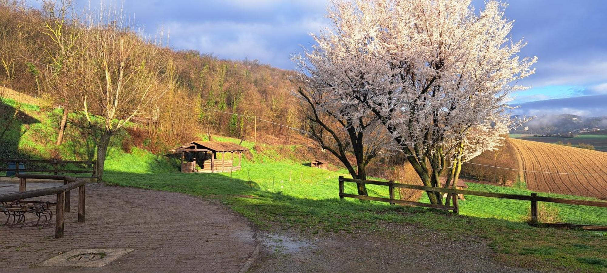 Willa Cascina Fazioli Alfiano Natta Zewnętrze zdjęcie