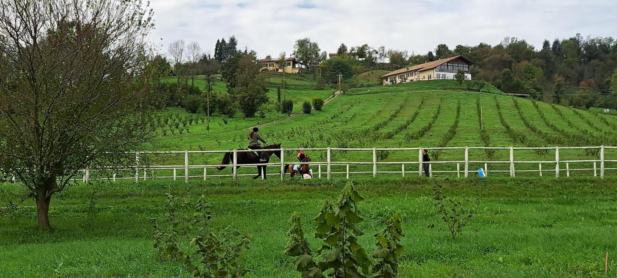 Willa Cascina Fazioli Alfiano Natta Zewnętrze zdjęcie