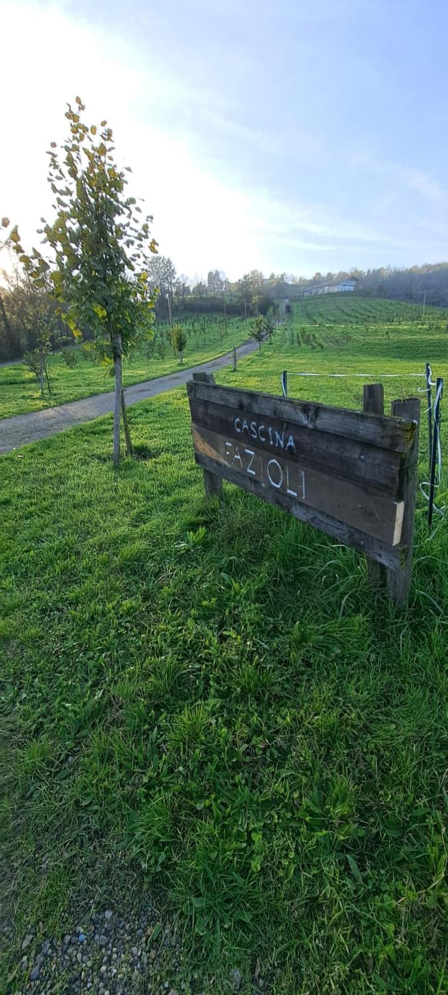 Willa Cascina Fazioli Alfiano Natta Zewnętrze zdjęcie