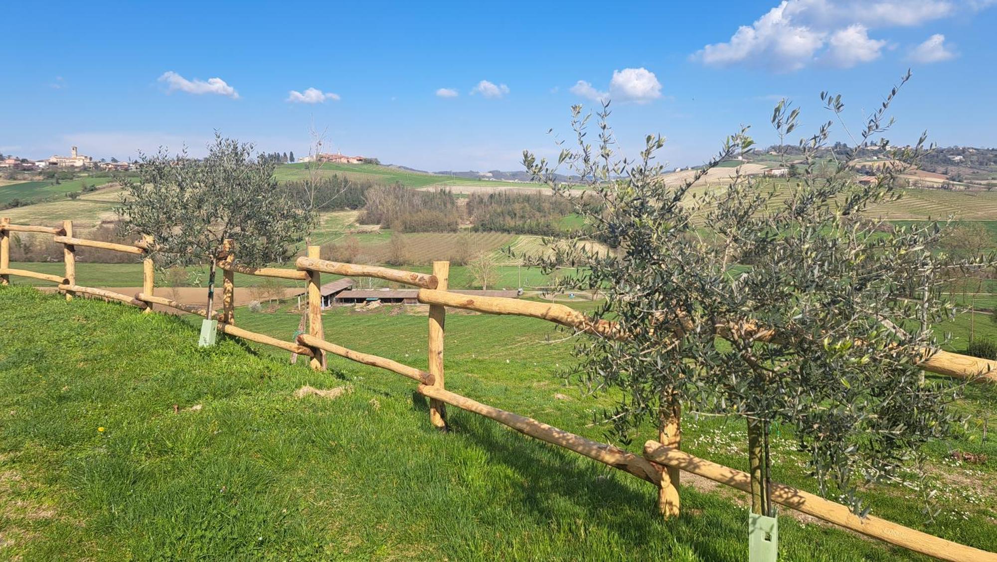 Willa Cascina Fazioli Alfiano Natta Zewnętrze zdjęcie
